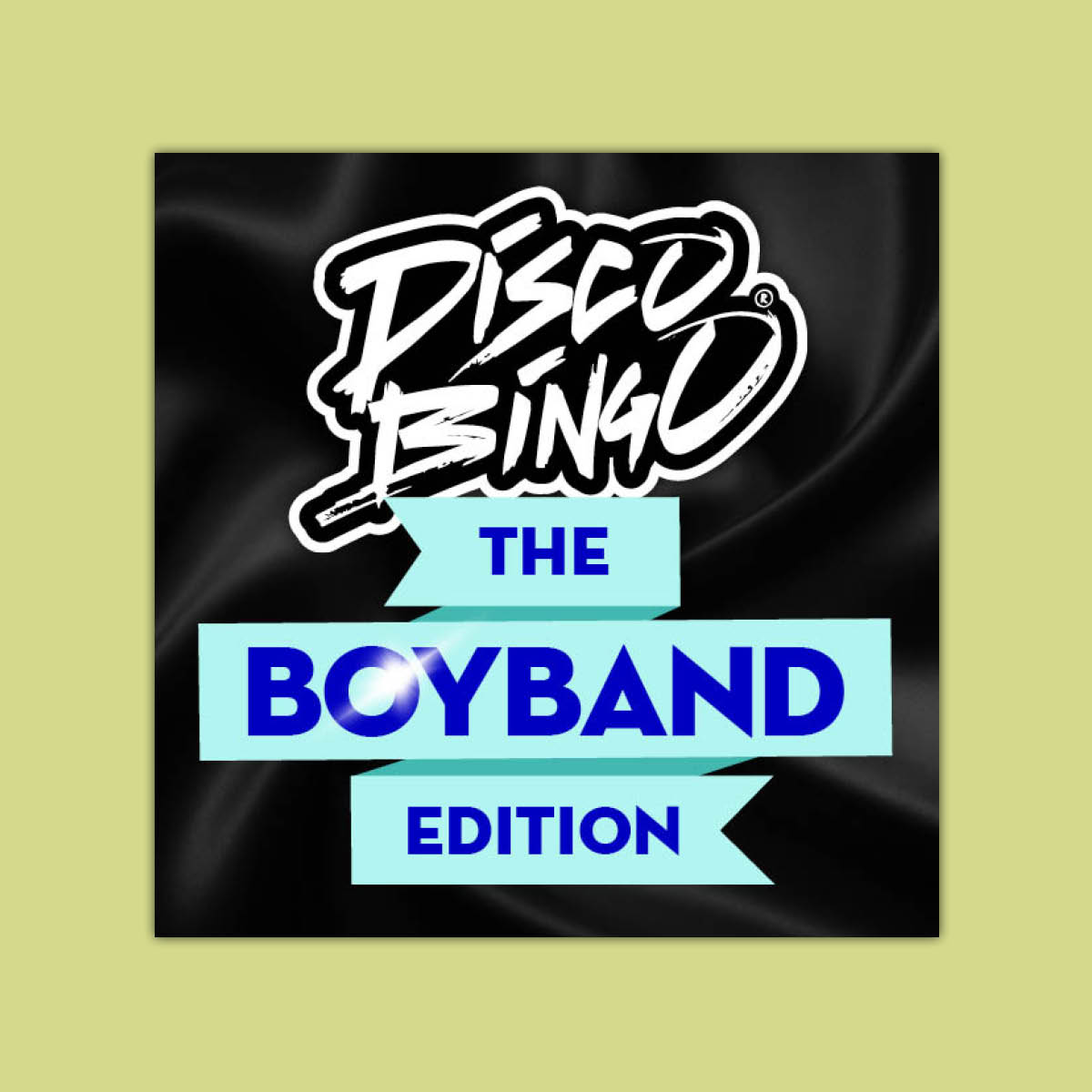 Disco Bingo The Boy Band Edition
